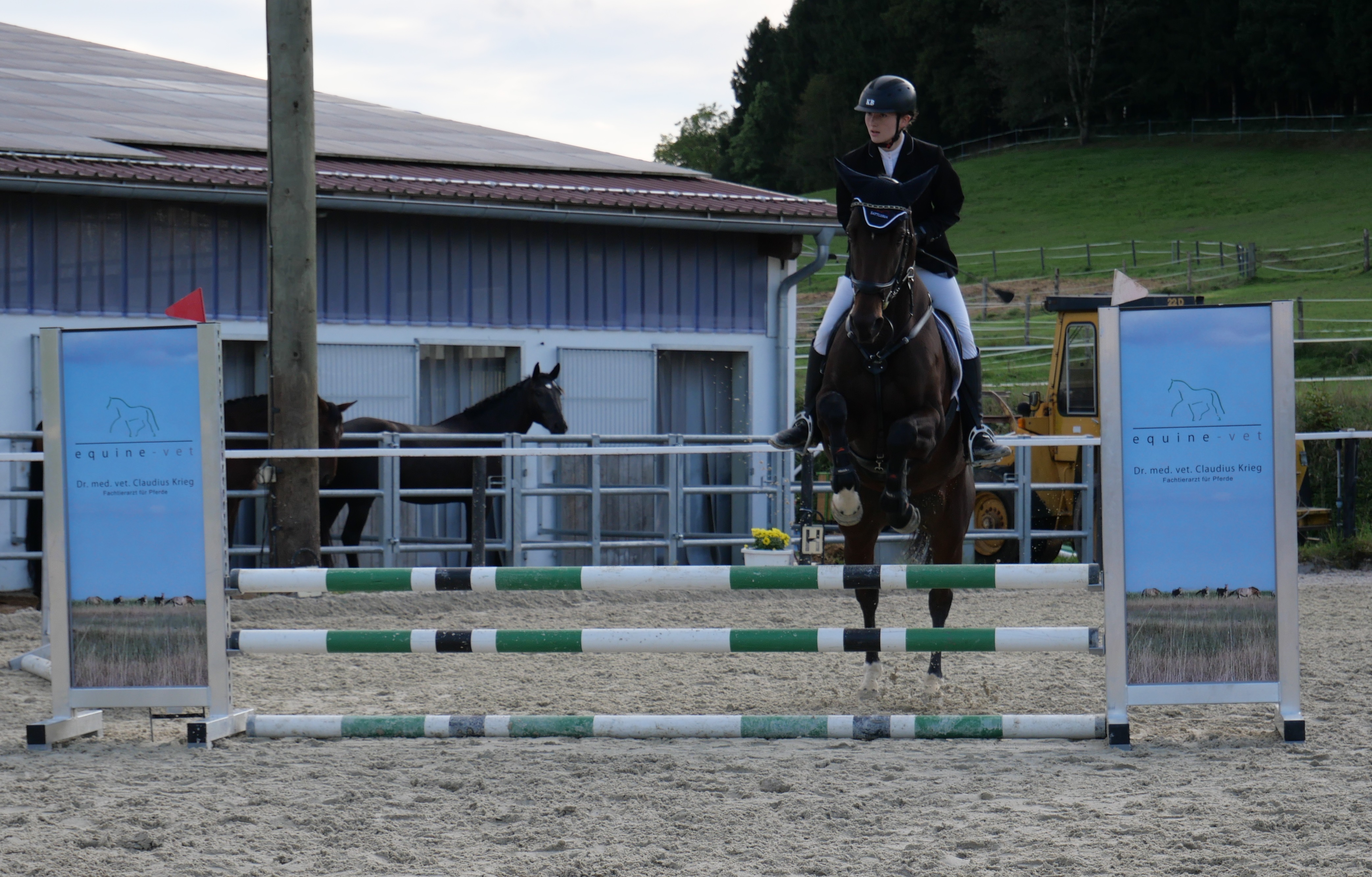 (4) Adina Wenger auf Dalia 1. Platz Springwettbewerb Klasse E